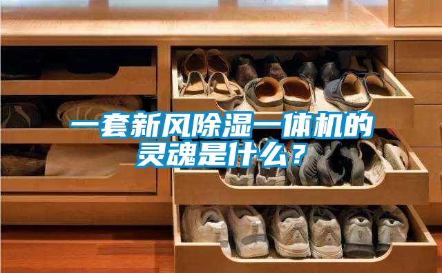 一套新風(fēng)除濕一體機(jī)的靈魂是什么？
