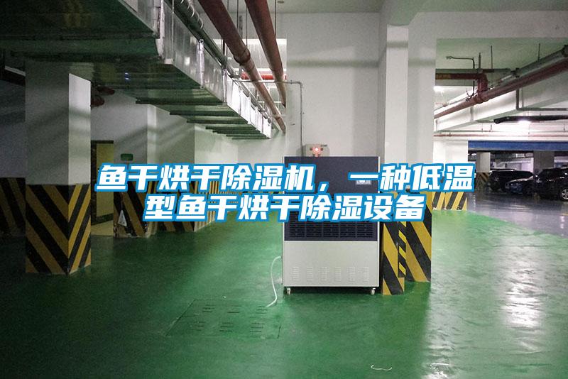 魚(yú)干烘干除濕機(jī)，一種低溫型魚(yú)干烘干除濕設(shè)備