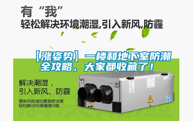 【漲姿勢】一樓和地下室防潮全攻略，大家都收藏了！