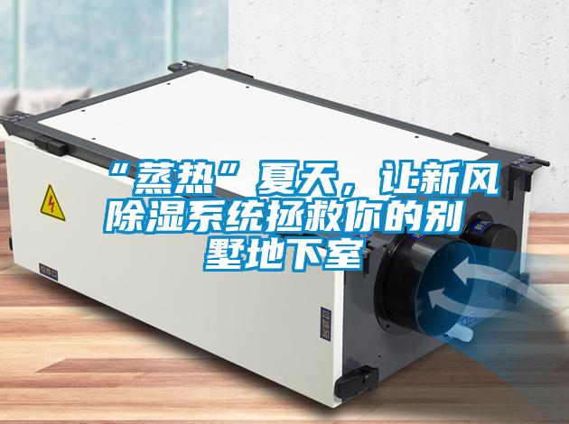 “蒸熱”夏天，讓新風(fēng)除濕系統(tǒng)拯救你的別墅地下室