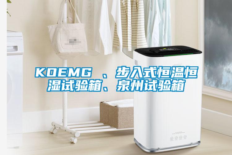 KOEMG 、步入式恒溫恒濕試驗(yàn)箱、泉州試驗(yàn)箱