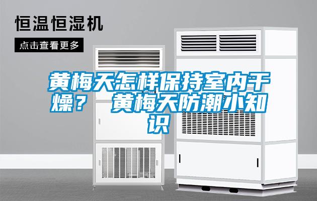 黃梅天怎樣保持室內(nèi)干燥? 黃梅天防潮小知識(shí)