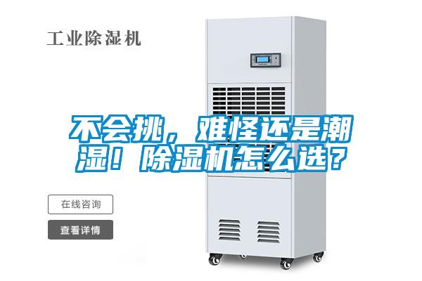 不會(huì)挑，難怪還是潮濕！除濕機(jī)怎么選？