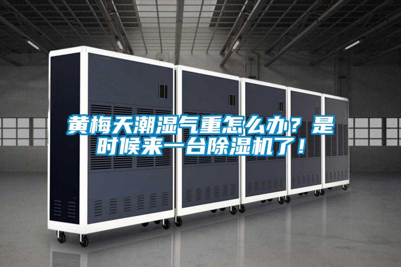黃梅天潮濕氣重怎么辦？是時候來一臺除濕機(jī)了！