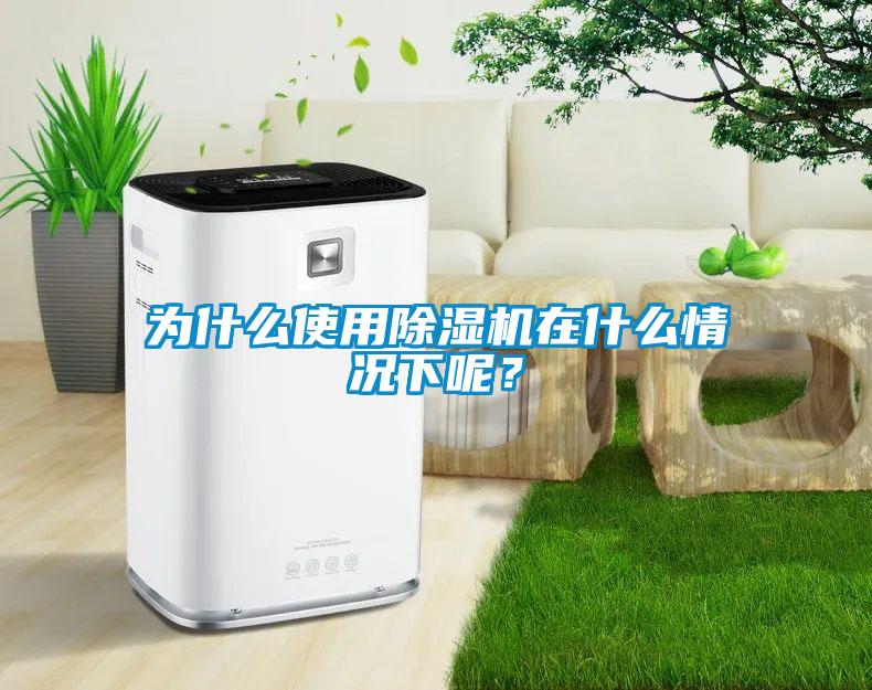 為什么使用除濕機(jī)在什么情況下呢？
