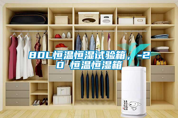80L恒溫恒濕試驗箱，-20℃恒溫恒濕箱