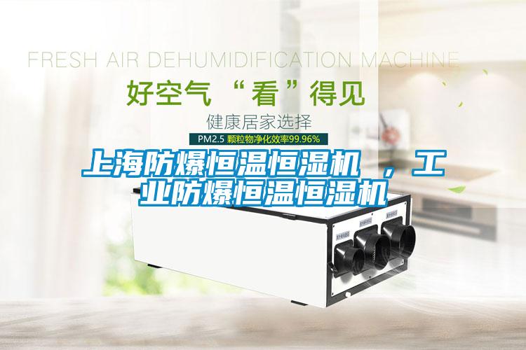 上海防爆恒溫恒濕機(jī) ，工業(yè)防爆恒溫恒濕機(jī)