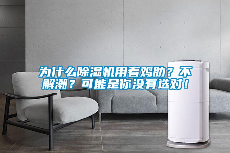 為什么除濕機用著雞肋？不解潮？可能是你沒有選對！