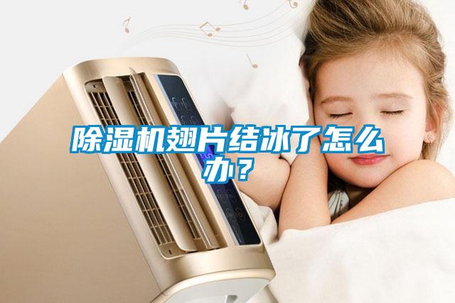 除濕機(jī)翅片結(jié)冰了怎么辦？