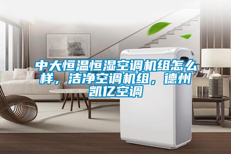 中大恒溫恒濕空調(diào)機(jī)組怎么樣，潔凈空調(diào)機(jī)組，德州凱億空調(diào)