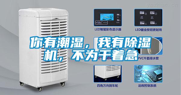 你有潮濕，我有除濕機(jī)，不為干著急
