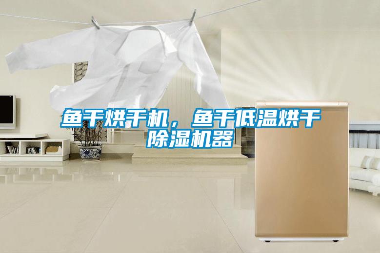 魚干烘干機，魚干低溫烘干除濕機器