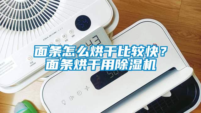 面條怎么烘干比較快？面條烘干用除濕機(jī)