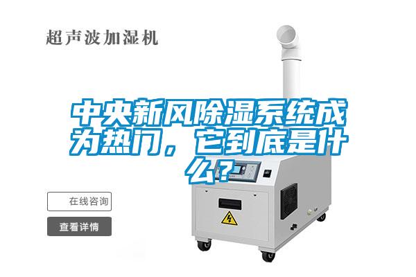 中央新風(fēng)除濕系統(tǒng)成為熱門，它到底是什么？