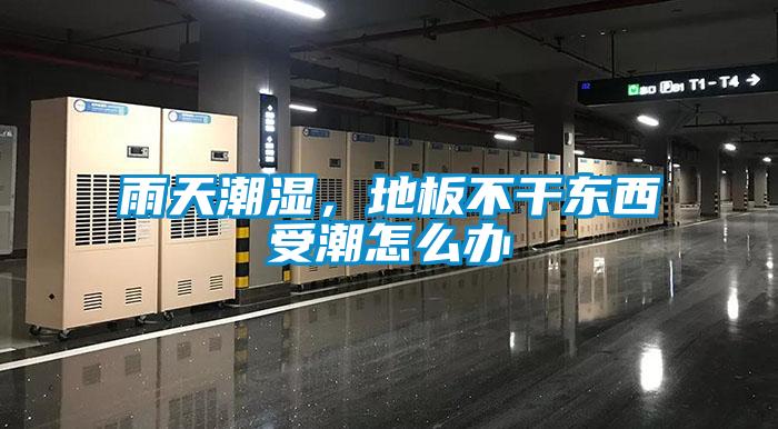 雨天潮濕，地板不干東西受潮怎么辦