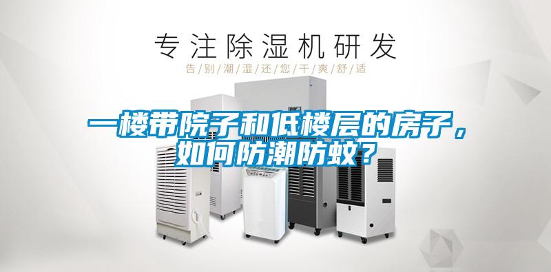 一樓帶院子和低樓層的房子，如何防潮防蚊？