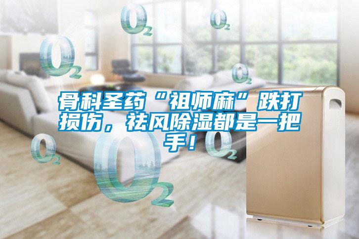 骨科圣藥“祖師麻”跌打損傷，祛風除濕都是一把手！
