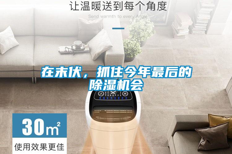 在末伏，抓住今年最后的除濕機(jī)會(huì)