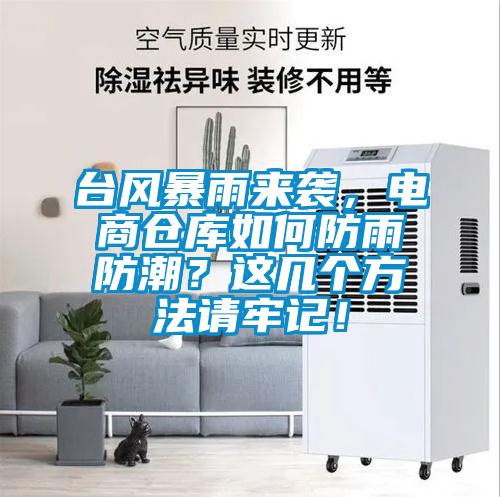 臺(tái)風(fēng)暴雨來襲，電商倉(cāng)庫(kù)如何防雨防潮？這幾個(gè)方法請(qǐng)牢記！
