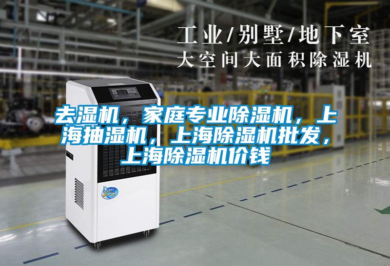去濕機(jī)，家庭專業(yè)除濕機(jī)，上海抽濕機(jī)，上海除濕機(jī)批發(fā)，上海除濕機(jī)價(jià)錢