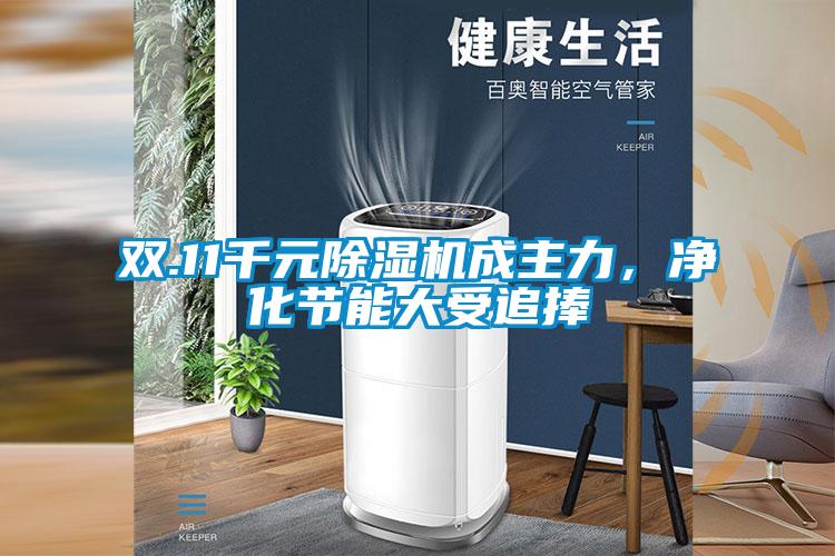 雙.11千元除濕機(jī)成主力，凈化節(jié)能大受追捧