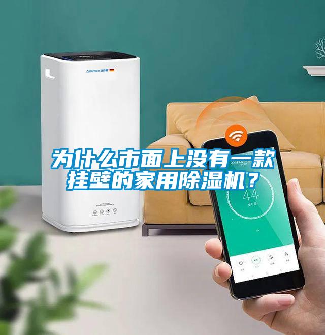 為什么市面上沒有一款掛壁的家用除濕機(jī)？
