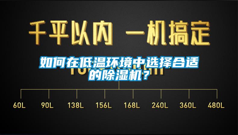 如何在低溫環(huán)境中選擇合適的除濕機(jī)？