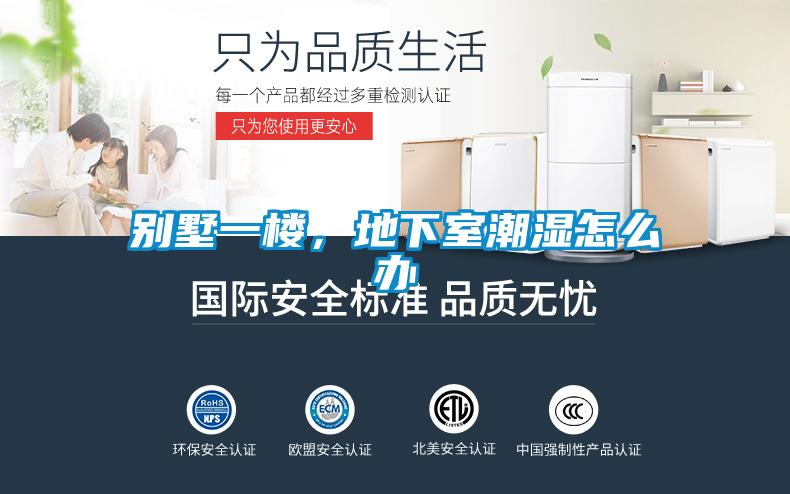 別墅一樓，地下室潮濕怎么辦