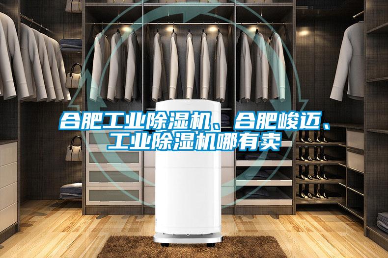 合肥工業(yè)除濕機(jī)、合肥峻邁、工業(yè)除濕機(jī)哪有賣(mài)