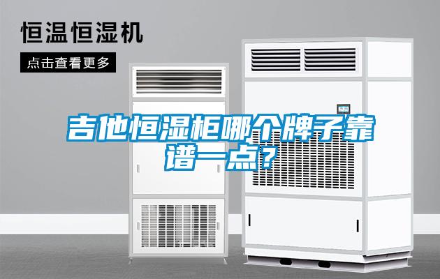 吉他恒濕柜哪個牌子靠譜一點(diǎn)？