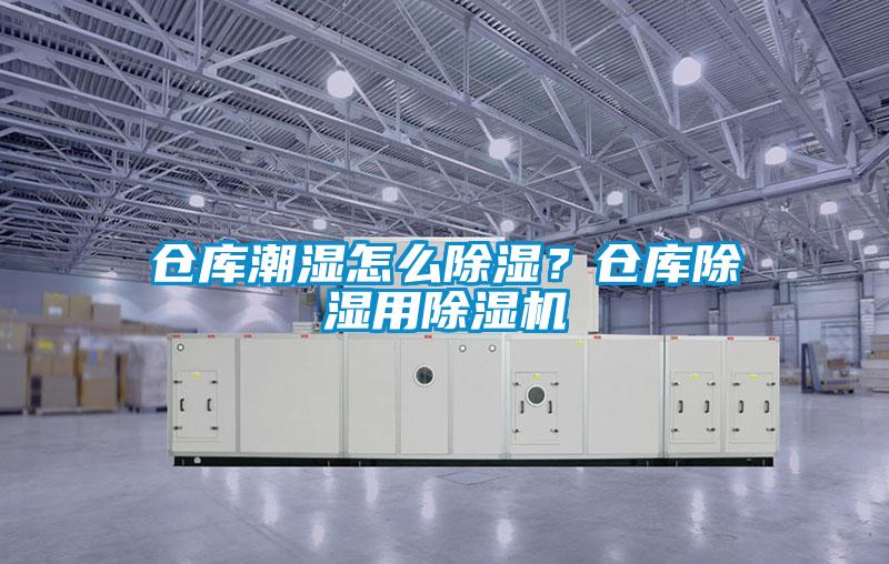 倉庫潮濕怎么除濕？倉庫除濕用除濕機