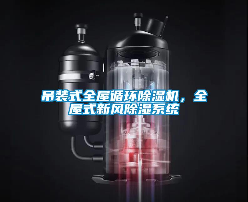 吊裝式全屋循環(huán)除濕機(jī)，全屋式新風(fēng)除濕系統(tǒng)