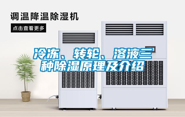 冷凍、轉(zhuǎn)輪、溶液三種除濕原理及介紹