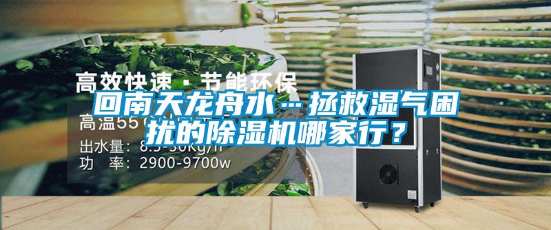 回南天龍舟水…拯救濕氣困擾的除濕機(jī)哪家行？