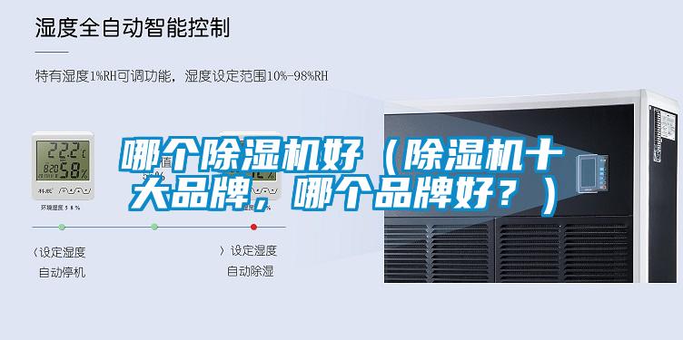 哪個(gè)除濕機(jī)好（除濕機(jī)十大品牌，哪個(gè)品牌好？）