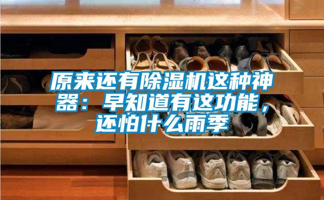 原來還有除濕機(jī)這種神器：早知道有這功能，還怕什么雨季