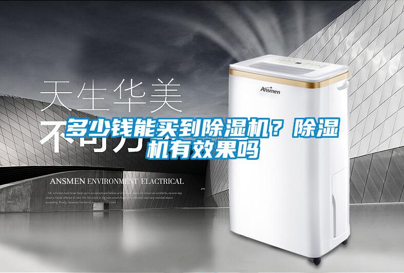 多少錢能買到除濕機(jī)？除濕機(jī)有效果嗎