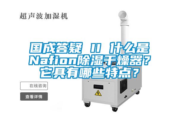 國成答疑 II 什么是Nafion除濕干燥器？它具有哪些特點？