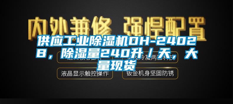 供應(yīng)工業(yè)除濕機(jī)DH-2402B，除濕量240升／天，大量現(xiàn)貨