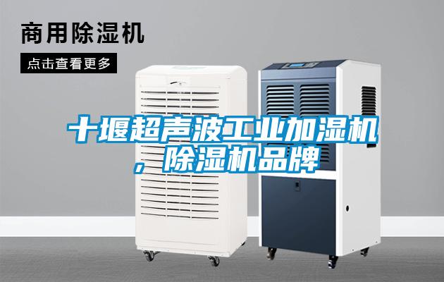 十堰超聲波工業(yè)加濕機(jī)，除濕機(jī)品牌