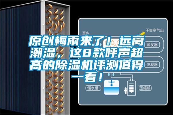 原創(chuàng)梅雨來(lái)了！遠(yuǎn)離潮濕，這8款呼聲超高的除濕機(jī)評(píng)測(cè)值得一看！