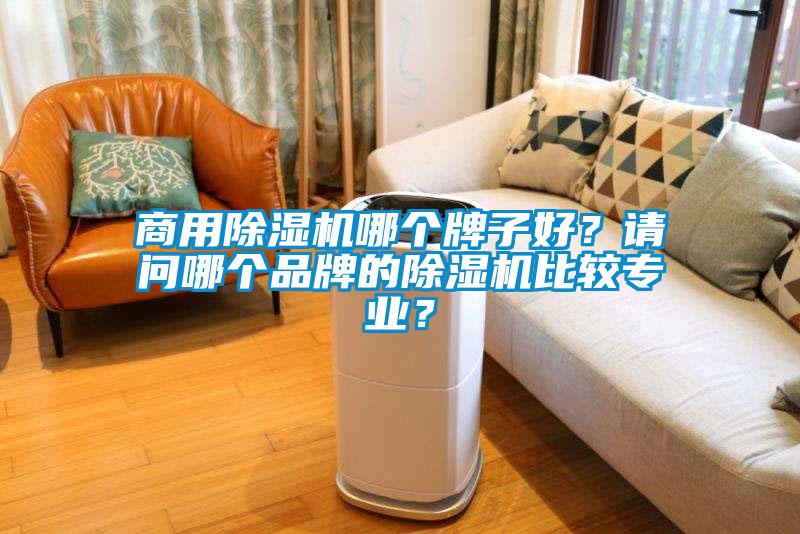 商用除濕機(jī)哪個牌子好？請問哪個品牌的除濕機(jī)比較專業(yè)？