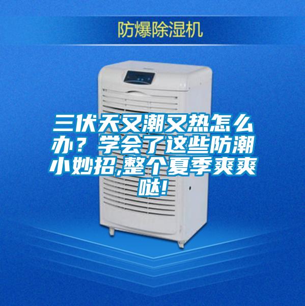三伏天又潮又熱怎么辦？學(xué)會了這些防潮小妙招,整個(gè)夏季爽爽噠!