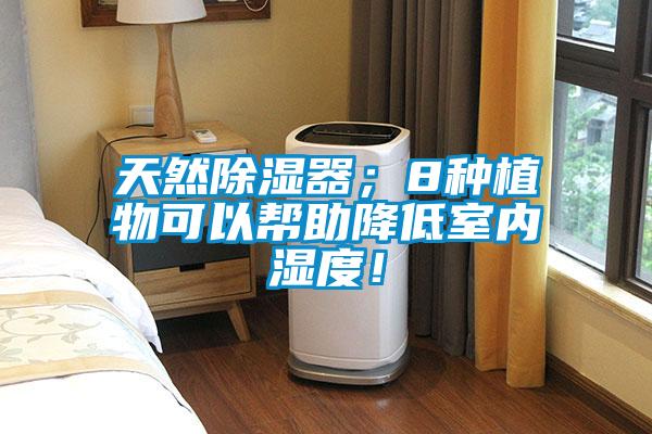 天然除濕器；8種植物可以幫助降低室內(nèi)濕度！
