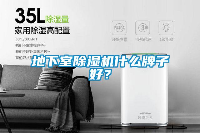 地下室除濕機(jī)什么牌子好？