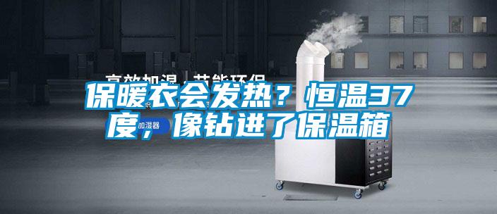 保暖衣會發(fā)熱？恒溫37度，像鉆進(jìn)了保溫箱
