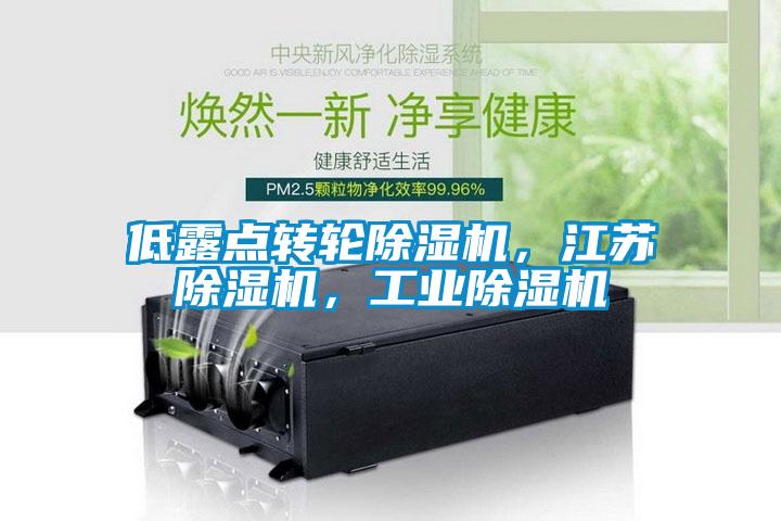 低露點(diǎn)轉(zhuǎn)輪除濕機(jī)，江蘇除濕機(jī)，工業(yè)除濕機(jī)