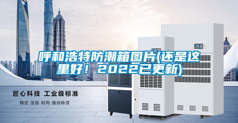 呼和浩特防潮箱圖片(還是這里好！2022已更新)