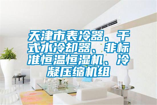 天津市表冷器、干式水冷卻器、非標(biāo)準(zhǔn)恒溫恒濕機(jī)、冷凝壓縮機(jī)組