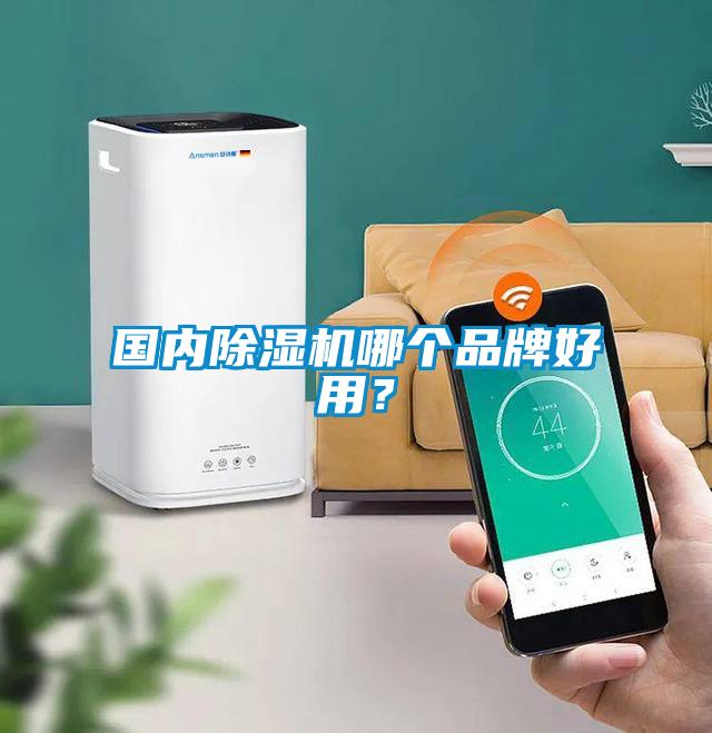 國內(nèi)除濕機(jī)哪個(gè)品牌好用？